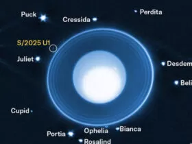 7903