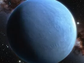 s93771553