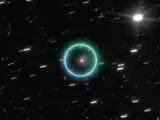 45019393