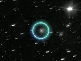 45019393